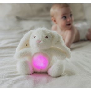 TEDDY LIGHTS