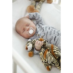 Diinglisar Wild - Nusseklud, Tiger