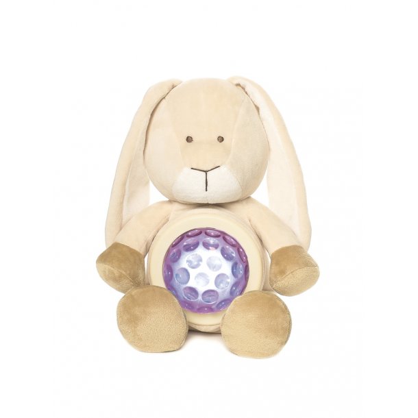 Diinglisar - Natlampe, Kanin 