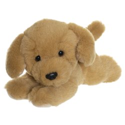 Teddy Dogs - Hvalpe i 3 farver 