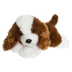 Teddy Dogs - Hvalpe i 3 farver 
