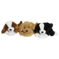 Teddy Dogs - Hvalpe i 3 farver 