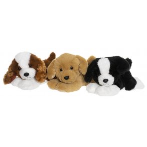Teddy Dogs - Hvalpe i 3 farver 