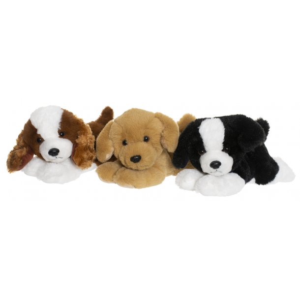 Teddy Dogs - Hvalpe i 3 farver 