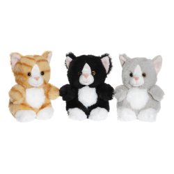 Teddy Cats - Displaybox 20 stk