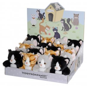 Teddy Cats - Displaybox 20 stk