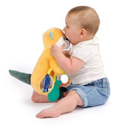 Aktivitetsdyr - Odder