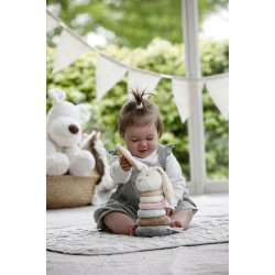 Diinglisar - Ringstabel, Kanin