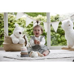 Diinglisar - Ringstabel, Kanin