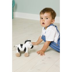 Trkdyr - Zebraen Robert