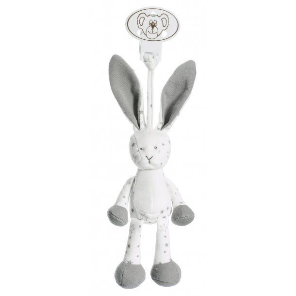 Diinglisar Organic - Clips, Kanin