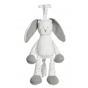 Diinglisar Organic - Spilledse, Kanin