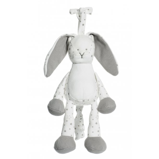 Diinglisar Organic - Spilledse, Kanin