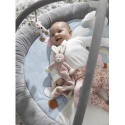 Diinglisar SE - Nusseklud, Kanin i Stvet Rosa 