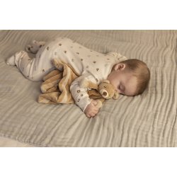 Diinglisar - Nusseklud, Bamse 