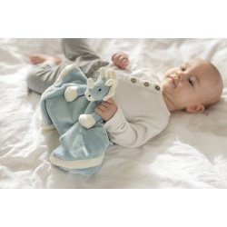 Diinglisar - Nusseklud, Dino