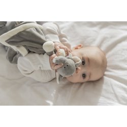 Diinglisar - Nusseklud, Elefant i Gr