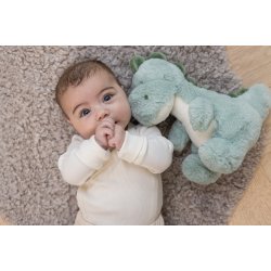 Teddy Dinos - Dinoen Petri, Grn, 25 cm 