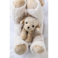 Teddy Dogs - Tess med hvalpe