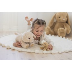 Teddy Dogs - Tess med hvalpe