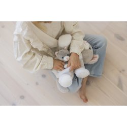 Teddy Cats - Tuva med killinger