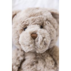 Teddy Sture - Bamse, Gr, 35 cm