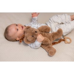 Musicals - Bj�rn i Brun, 37 cm