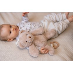 Musicals - Bj�rn i Beige, 37 cm