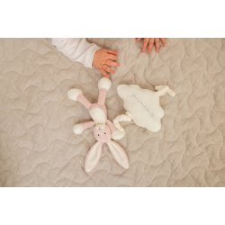 Diinglisar - Spilledse Sky, Stvet Rosa