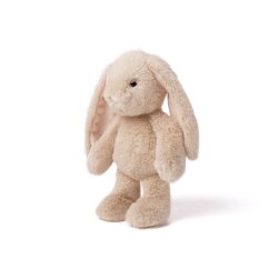 Blooming Bunny - Hortensia, 25 cm