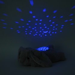 Dream Buddies, Kanin 