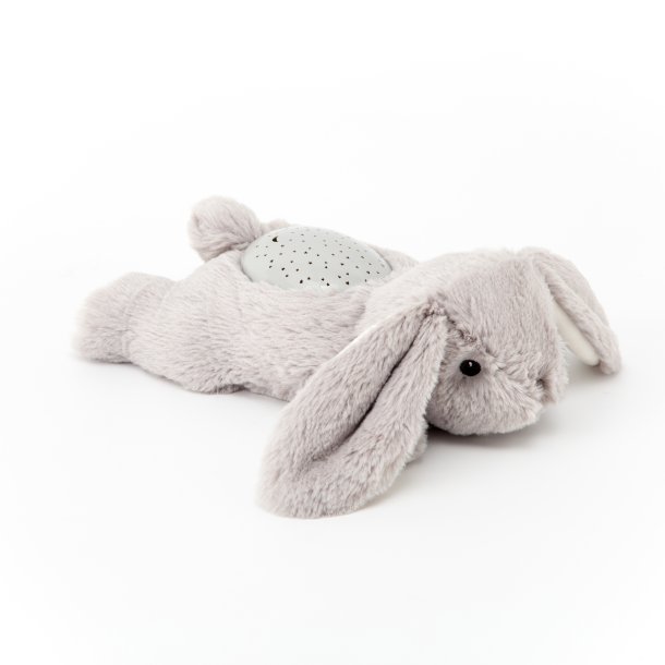 Dream Buddies, Kanin 