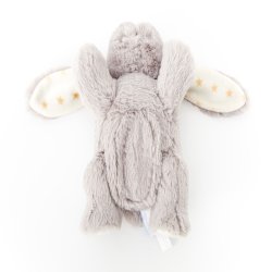 Dream Buddies, Kanin 