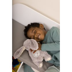 Dream Buddies, Kanin 