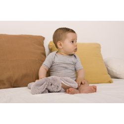 Dream Buddies, Kanin 