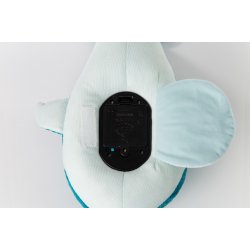 Tranquil Whale, Blue 