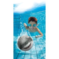 Diving Ball - Shark