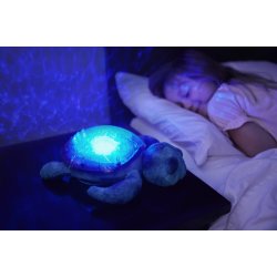 Tranquil Turtle - Ocean rechargeable
