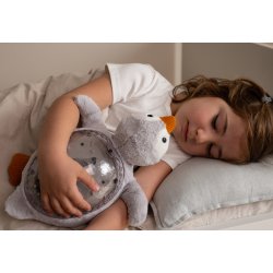 Tranquil Penquin - rechargeable