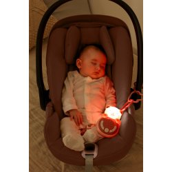 Sweet Dreamz On the Go - Cat