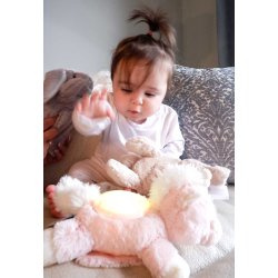 Dream Buddies, Enhjrning 