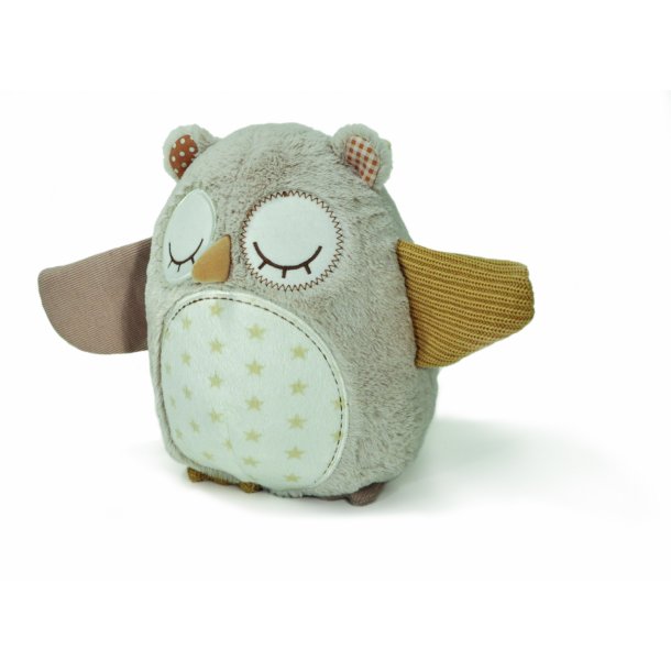 Nighty Night Owl