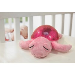 Tranquil Turtle, Pink