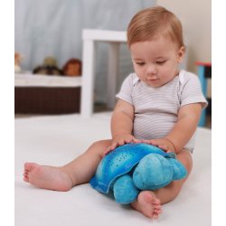 Twilight Turtle, Blue