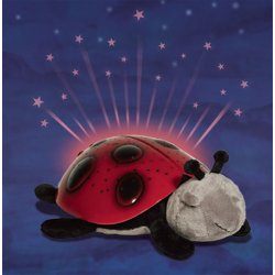 Twilight Ladybug, Rd