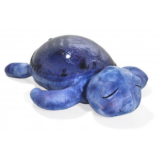 Tranquil Turtle, Ocean 
