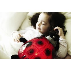 Twilight Ladybug, Rd