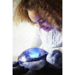 Tranquil Turtle, Ocean 