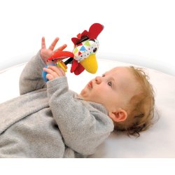 Shake Me Rattle Rooster 