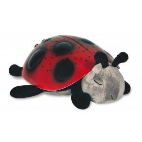 Twilight Ladybug, Rd
